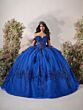House of Wu 56543 Floral Appliques Off The Shoulder Dress
