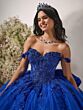 House of Wu 56543 Floral Appliques Off The Shoulder Dress