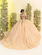 House of Wu 56555 Chapel Train Beaded Bodice Dress
