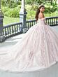 House of Wu 26049 Detachable Sleeve 3D Flowers Quinceanera Gown