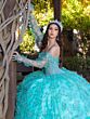 House of Wu LizLou 26085 Corset Bodice Sheer Sleeve Quinceanera Dress