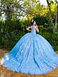 House of Wu LizLou 26089 3-Way Neck Removable Skirt Quince Dress