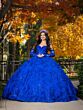 Royal
