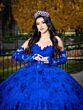 House of Wu LizLou 26092 Gauntlet Sleeve Basque Waist Sweet 16 Dress