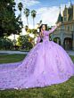 House of Wu LizLou 26093 Illusion Sleeve Long Train Sweet 16 Gown