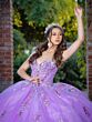 House of Wu LizLou 26093 Illusion Sleeve Long Train Sweet 16 Gown