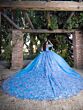 House of Wu LizLou 26093 Illusion Sleeve Long Train Sweet 16 Gown
