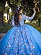House of Wu LizLou 26093 Illusion Sleeve Long Train Sweet 16 Gown