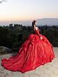 House of Wu LizLou 26097 Feather Sleeve Pleated Skirt Sweet 16 Dress