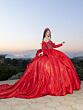 House of Wu LizLou 26097 Feather Sleeve Pleated Skirt Sweet 16 Dress