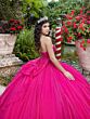 House of Wu 26102 Sweetheart Neck Gauntlet Sleeve Quinceanera Gown