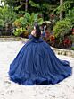 House of Wu 26102 Sweetheart Neck Gauntlet Sleeve Quinceanera Gown
