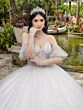 House of Wu 26102 Sweetheart Neck Gauntlet Sleeve Quinceanera Gown