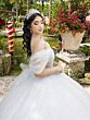 House of Wu 26102 Sweetheart Neck Gauntlet Sleeve Quinceanera Gown
