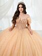 House of Wu 26102 Sweetheart Neck Gauntlet Sleeve Quinceanera Gown