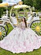 House of Wu LizLuo Maravilla 80007 Quinceanera Dress