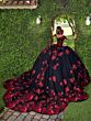 House of Wu LizLuo Maravilla 80014 Quinceanera Dress