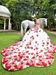House of Wu LizLuo Maravilla 80014 Quinceanera Dress