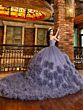 House of Wu LizLou Maravilla 80022 Ruffle Sleeve Quince Dress