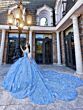 House of Wu LizLou Maravilla 80024 Petal Train Applique Quince Gown