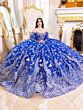 House of Wu LizLou Maravilla 80029 Removable Sleeve Sweet 16 Gown
