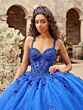 House of Wu 80053 Petal Train Detachable Sleeves Dress