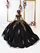 House of Wu 80065 Cathedral Train Embellished Dress