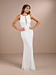 Ivory Shiny