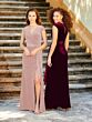 Dusty Rose (Velvet)