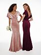 Dusty Rose (Velvet)
