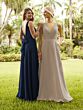 Navy (Chiffon)