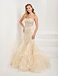 Ivory/Champagne