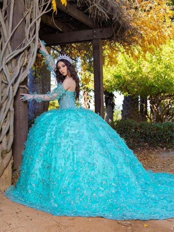 House of Wu LizLou 26085 Corset Bodice Sheer Sleeve Quinceanera Dress