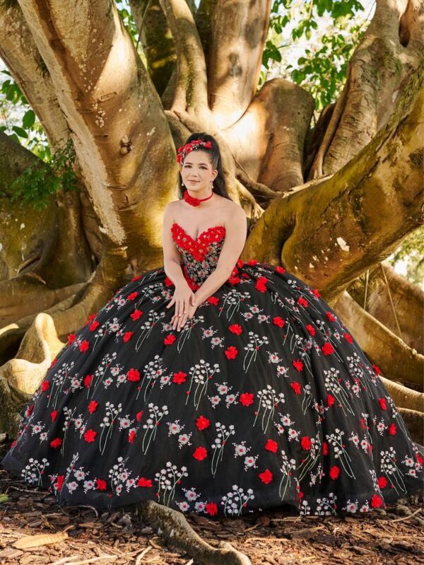 Black/Red