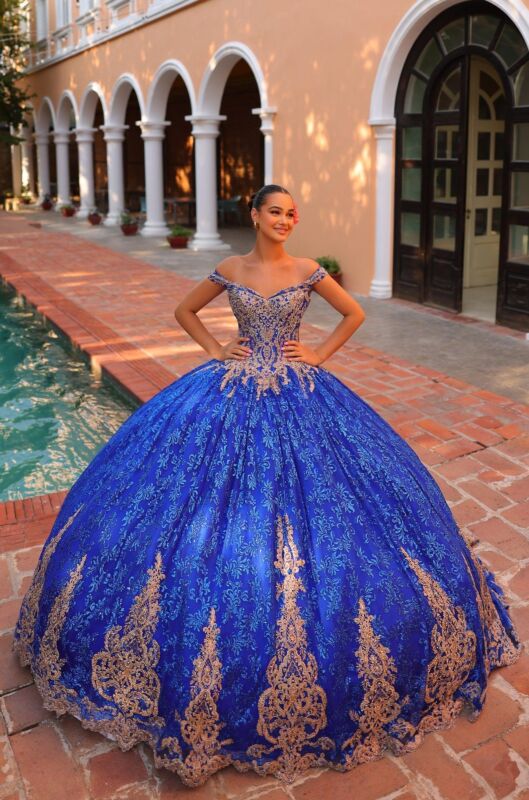 Royal Blue, Gold Blue and Antique Gold Gown by Jade for rent online |  FLYROBE