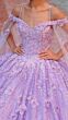 Amarra 54308 Cold-Shoulder Strap Basque Waist Sweet 16 Gown