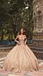 Amarra 54324 Hooded Cape Petal Train Quince Dress