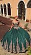 Amarra 54324 Hooded Cape Petal Train Quince Dress