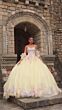 Amarra 54234 Applique Bodice Removable Sleeve Dress