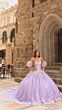 Amarra 54234 Applique Bodice Removable Sleeve Dress