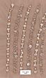 Adrianna Papell 40459 Illusion Sleeve Short Beaded Dress - Stock Only