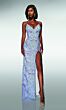 Blue Iris