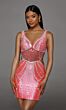 Neon Pink-Silver