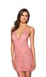 Alyce Paris 84006 Crisscross Back V-Neck Dress