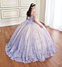 Princesa by Ariana Vara PR30172 Beaded Top Basque Waist Quince Gown