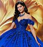 Princesa by Ariana Vara PR30174 Gauntlet Sleeve Applique Quince Dress