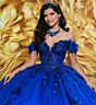 Princesa by Ariana Vara PR30174 Gauntlet Sleeve Applique Quince Dress