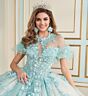 Princesa by Ariana Vara PR30174 Gauntlet Sleeve Applique Quince Dress