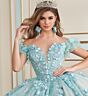 Princesa by Ariana Vara PR30174 Gauntlet Sleeve Applique Quince Dress