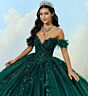 Princesa by Ariana Vara PR30174 Gauntlet Sleeve Applique Quince Dress